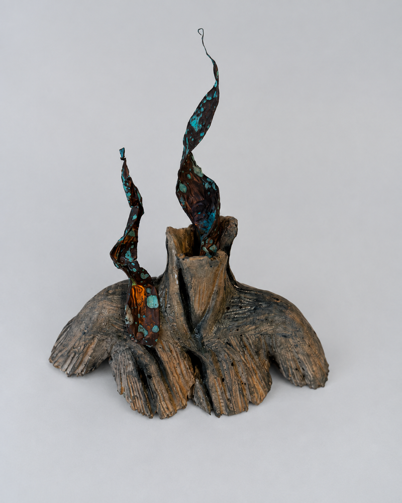 Fjara — Erosion I